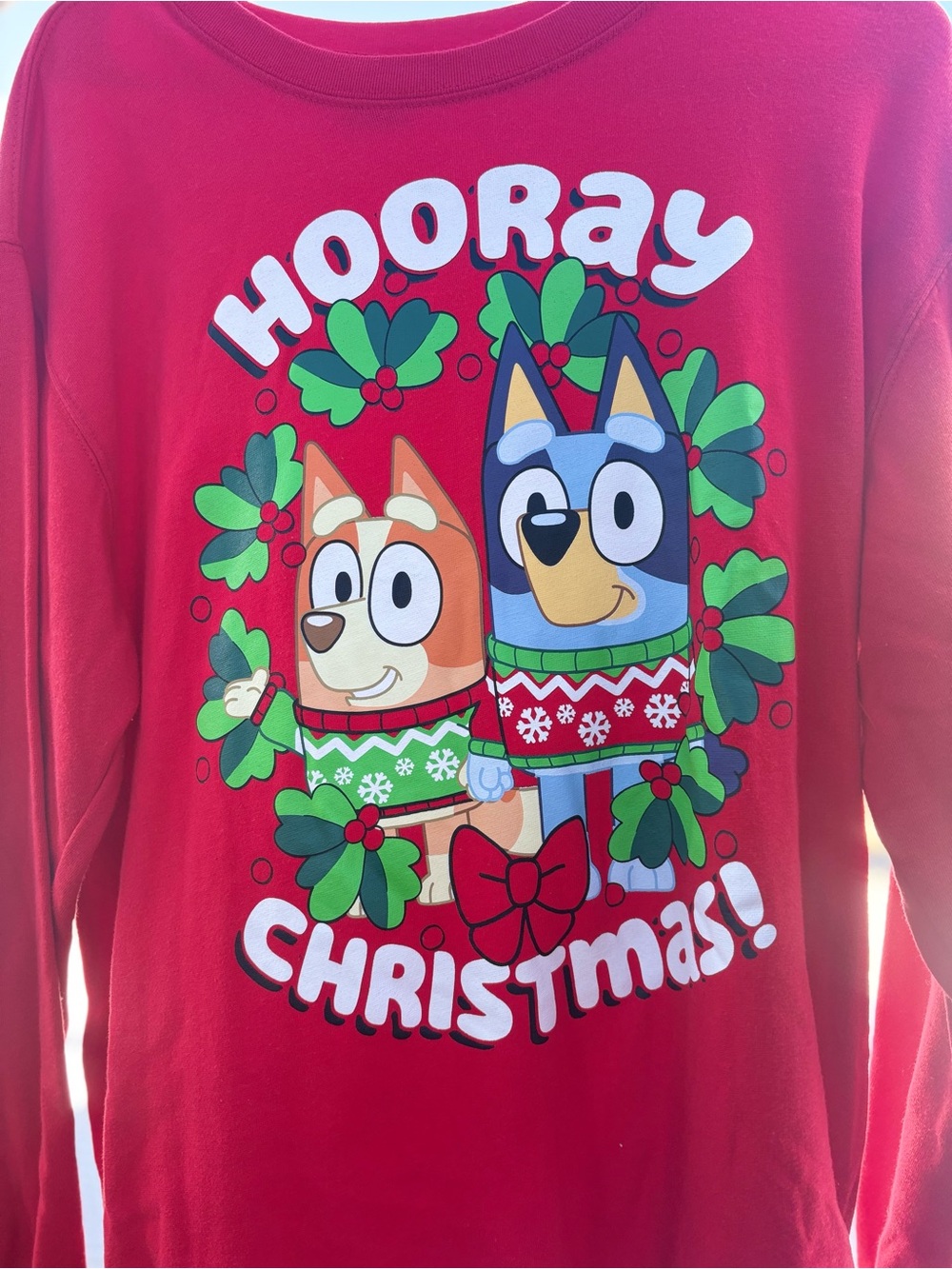 Unisex - bluey & bingo Holiday Sweatshirt